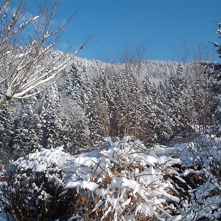 Gaestehaus Waldblick *