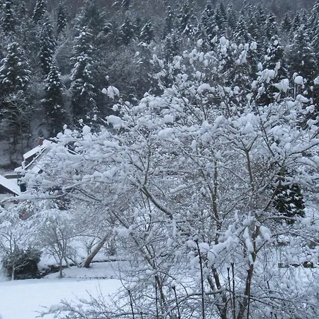 Homestay Gaestehaus Waldblick