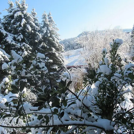 Gaestehaus Waldblick Kwatera prywatna *