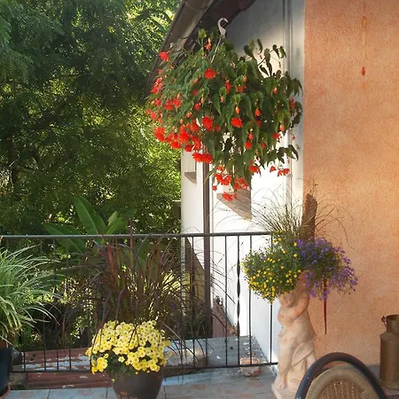 Gaestehaus Waldblick Homestay *