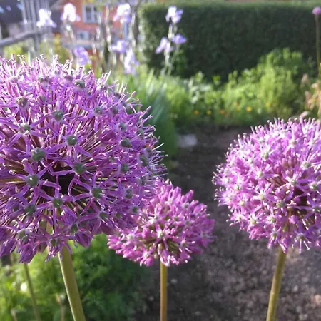 Gaestehaus Waldblick Ettenheimmunster