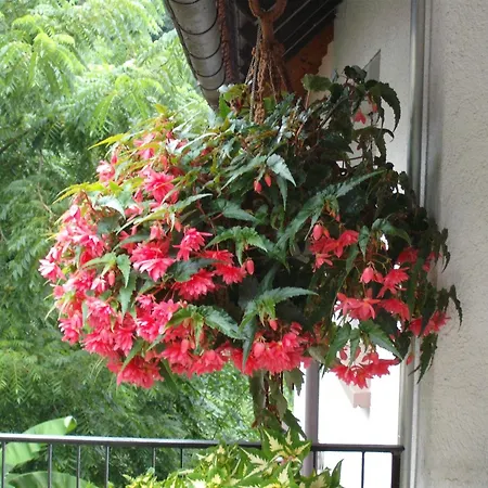 Gaestehaus Waldblick