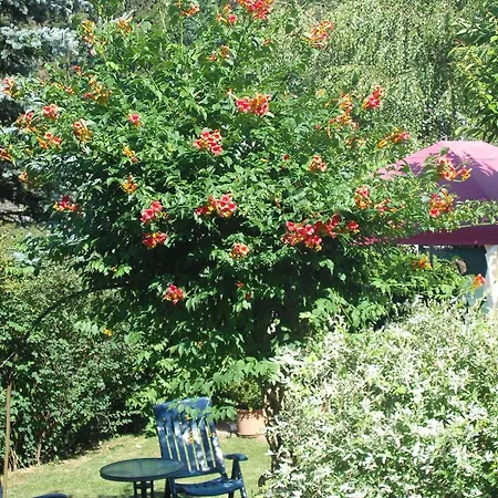 Gaestehaus Waldblick Homestay *